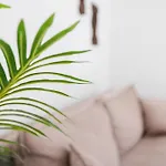 Casa Muma Πάρκο διακοπών Κάλπε
