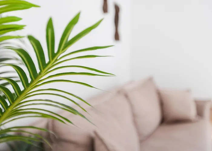 Casa Muma Πάρκο διακοπών Κάλπε